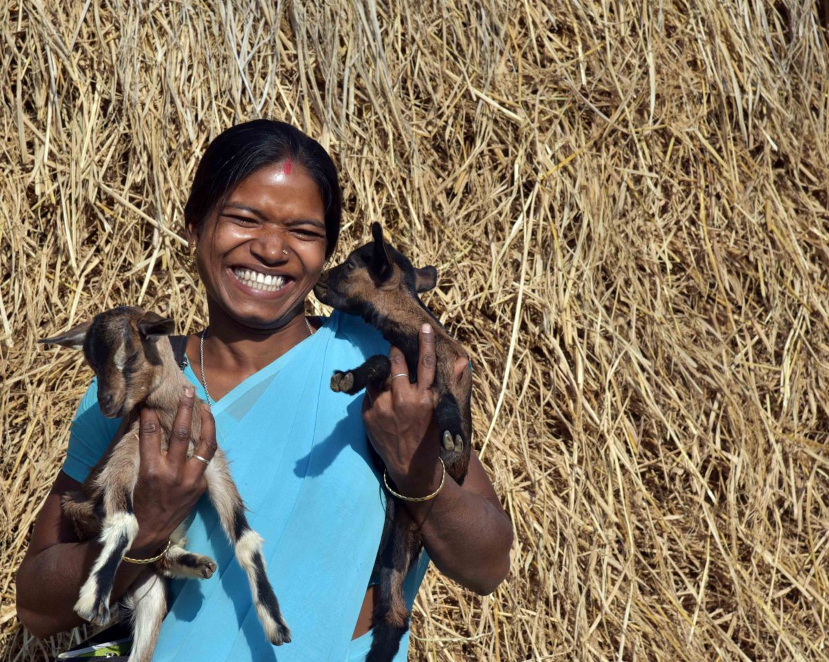 आजीविका पशु सखी